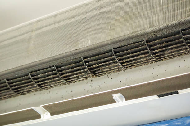 Best Air Duct Cleaning Near Me in NM