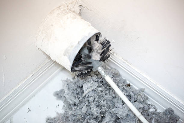 Best Air Duct Cleaning Near Me  in Loving, NM